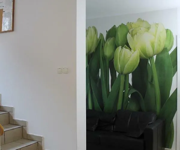 Z Ogrodem Δωμάτια σε οικογενειακή κατοικία Władysławowo